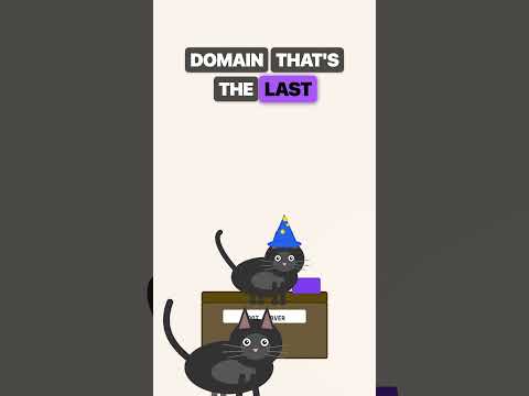 DNS Explained in 2 Minutes With Cats #tech #networking #brainrot